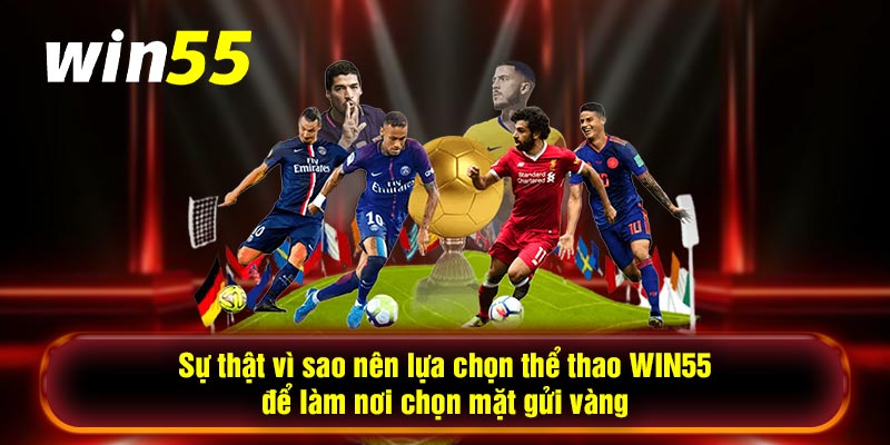 Sự thật vì sao nên lựa chọn thể thao WIN55 để làm nơi chọn mặt gửi vàng