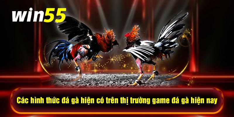 Các hình thức đá gà hiện có trên thị trường game đá gà hiện nay