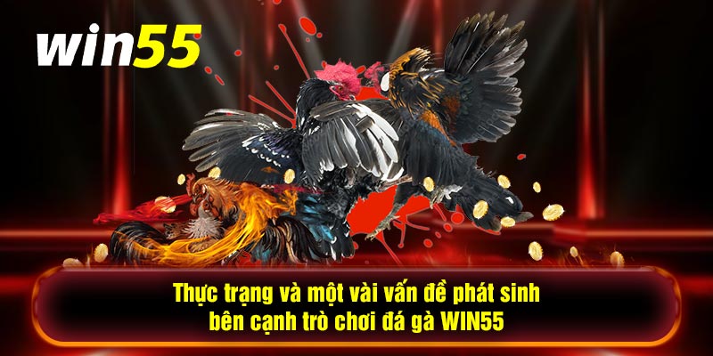 Thực trạng và một vài vấn đề phát sinh bên cạnh trò chơi đá gà WIN55