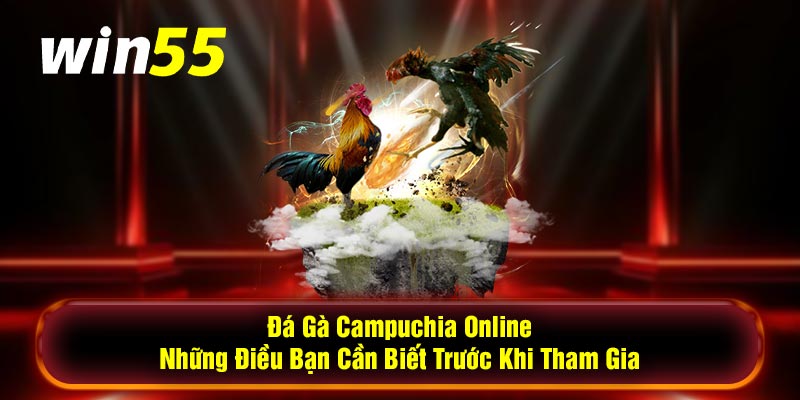 Đá Gà Campuchia Online - Những Điều Bạn Cần Biết Trước Khi Tham Gia