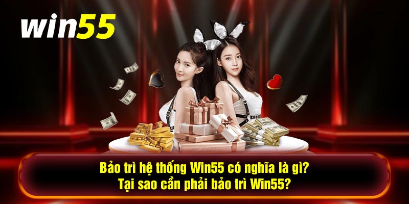 Bảo trì hệ thống Win55 có nghĩa là gì? Tại sao cần phải bảo trì Win55?