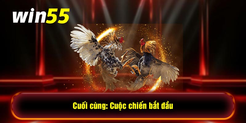 Cuối cùng: Cuộc chiến bắt đầu